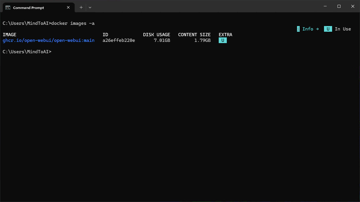 Command Prompt menampilkan daftar image Docker setelah image Open WebUI lama dihapus
